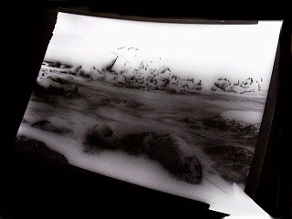 image done with a pinhole enlarger